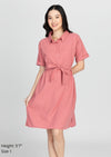 SOFIE A-Line Collared Dress